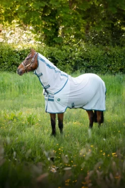 Horseware Hästtäcken & Flughuvor|Flugskydd-Amigo AmEco Flugtäcke