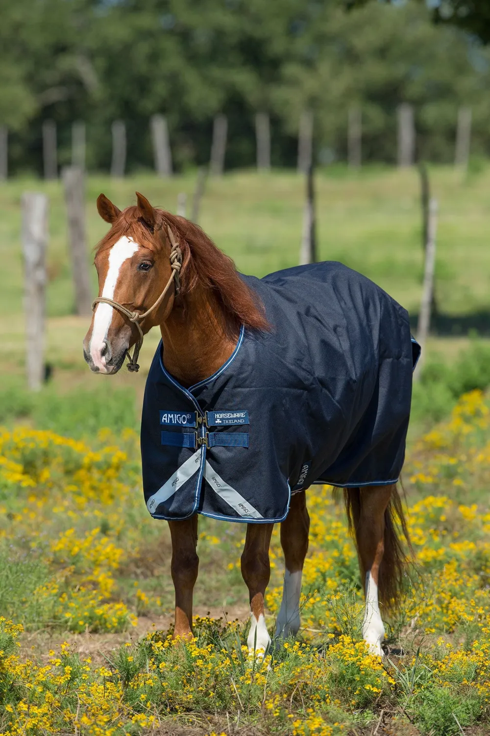 Horseware Hästtäcken & Flughuvor|Horseware-Amigo Bravo 12 0G