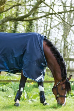 Horseware Hästtäcken & Flughuvor|Horseware-Amigo Bravo 12 0G