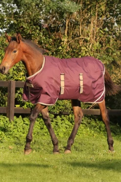 Horseware Horseware|Hästtäcken & Flughuvor-Amigo Föltäcke 200g