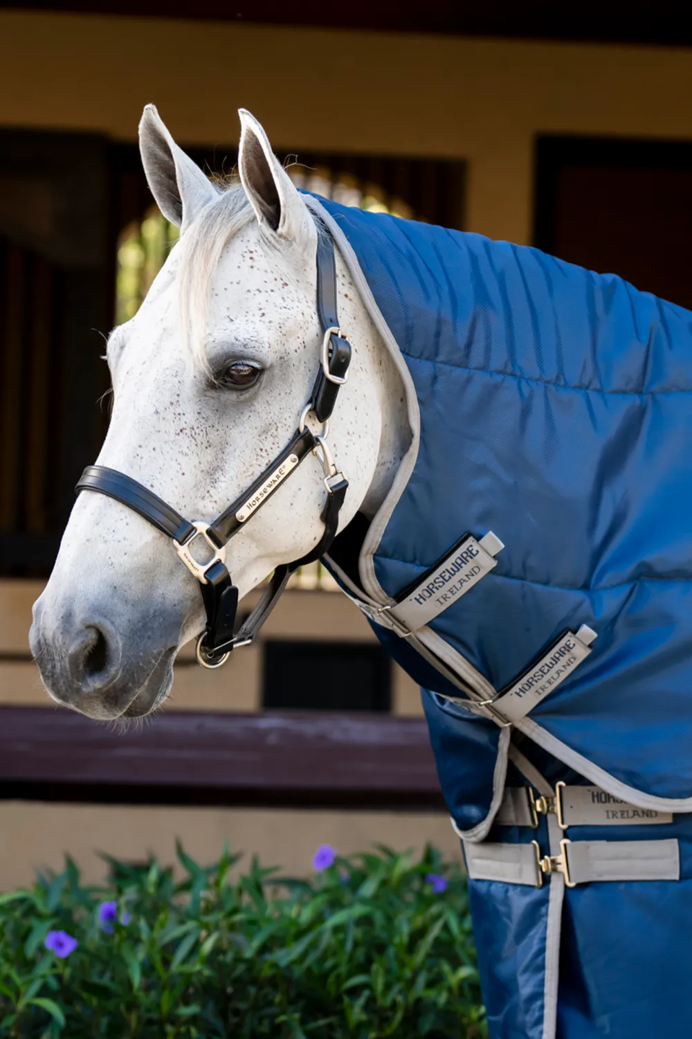 Horseware Hästtäcken & Flughuvor|Horseware-Aigo Inuator Ha 100g Navy/Titan