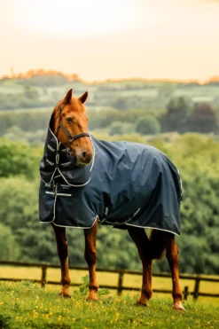 Horseware Horseware|Hästtäcken & Flughuvor-Amigo Plus 900D 0g Ripstop Navy