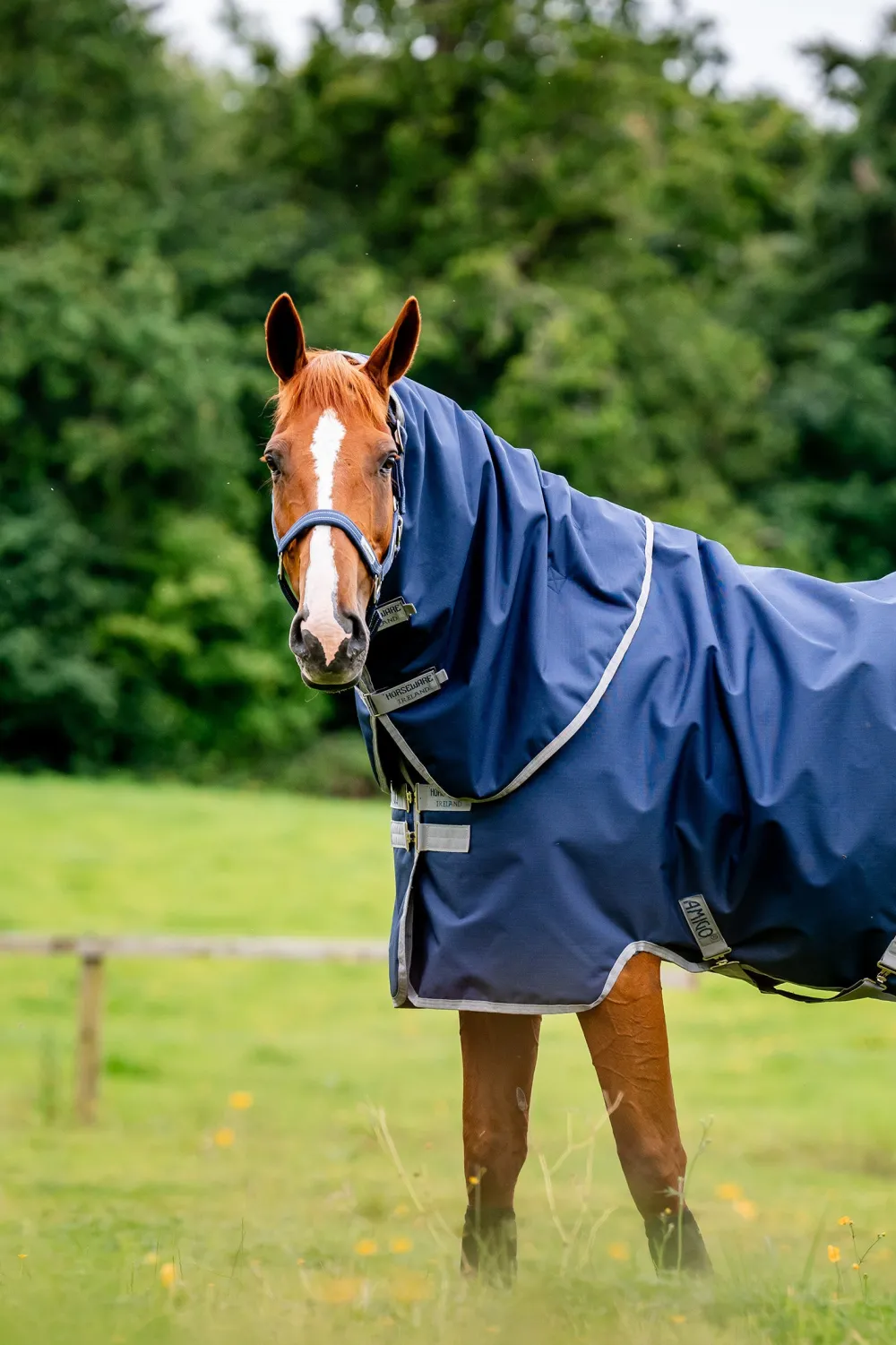 Horseware Hästtäcken & Flughuvor|Horseware-Amigo Ripstop Plus 900d 100g