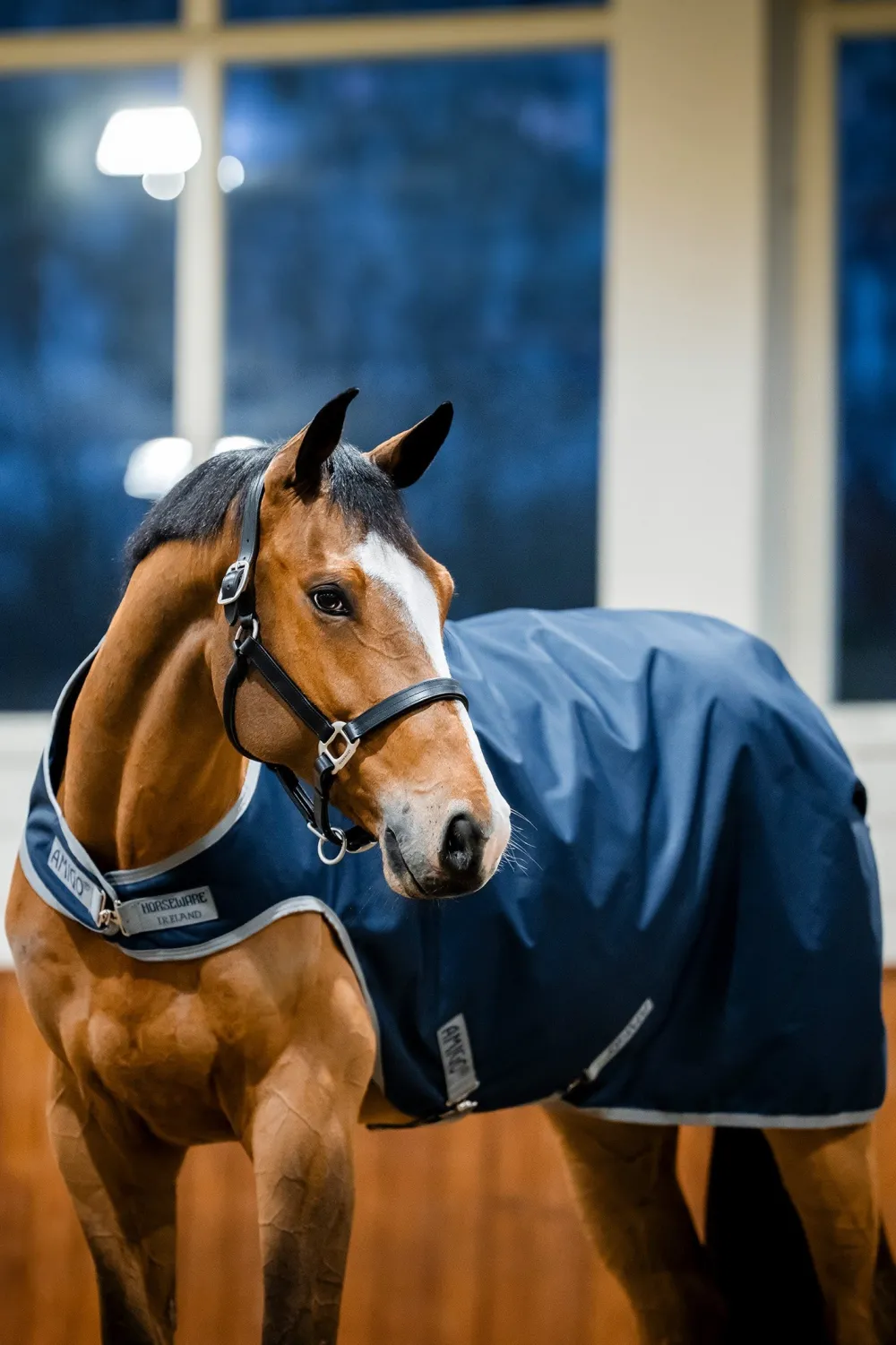 Horseware Hästtäcken & Flughuvor|Horseware-Aigo Riptop krittakintäcke 100g Navy/Grey