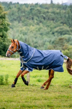 Horseware Hästtäcken & Flughuvor|Horseware-Amigo Utetäcke Plus 0g