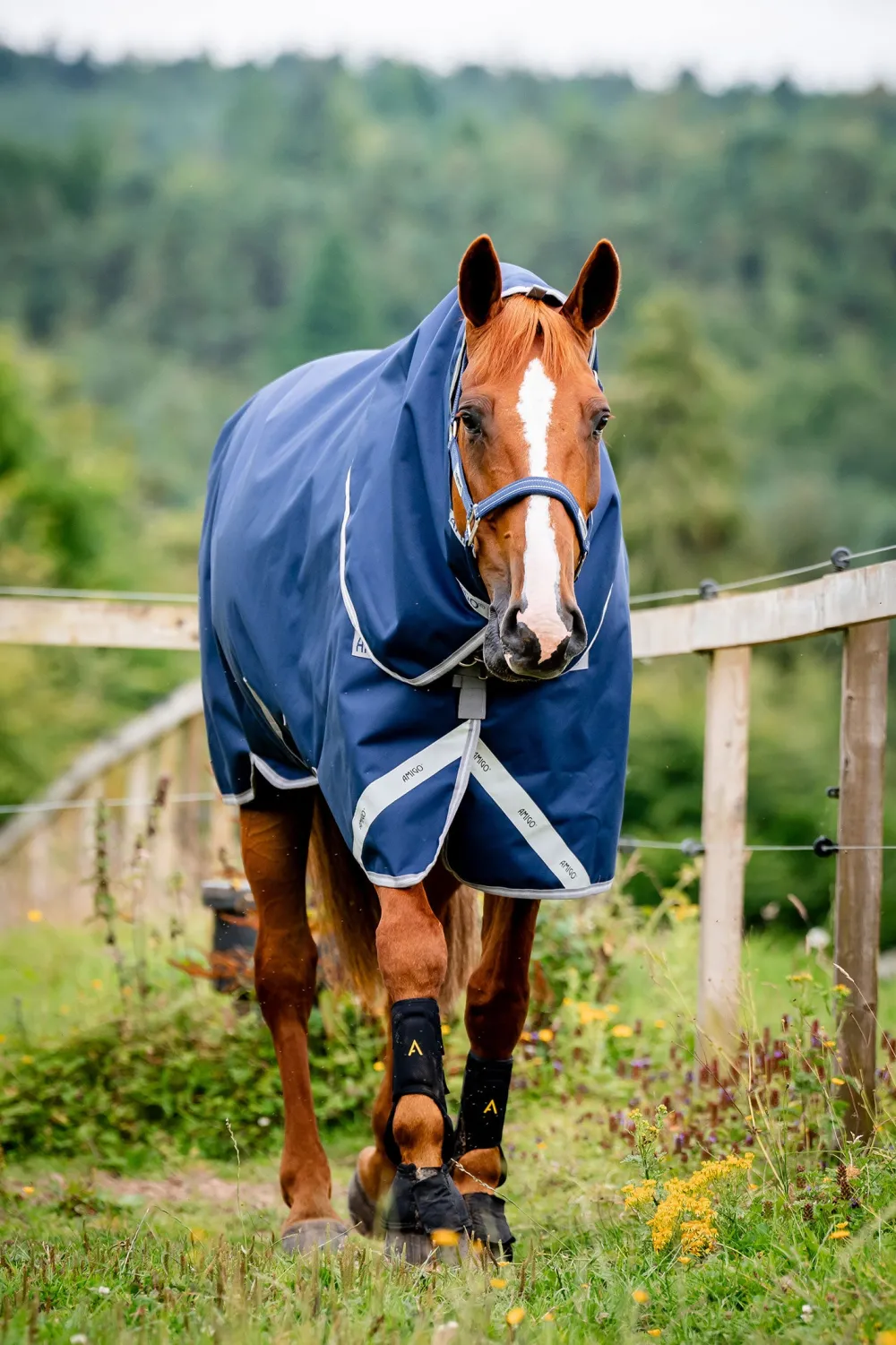 Horseware Hästtäcken & Flughuvor|Horseware-Amigo Vintertäcke 1200D plus 250g