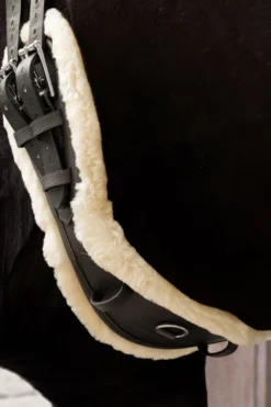 Kentucky Horsewear Kentucky Horsewear|Sadelgjordar & Tillbehör-Anatomisk Dressyrgjord Fårskinn Svart
