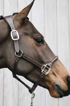 Kentucky Horsewear Kentucky Horsewear-Anatomisk Lädergrimma Nackstycke Brun