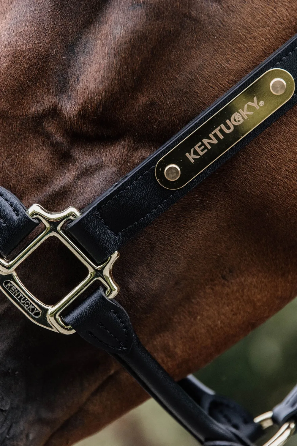 Kentucky Horsewear Kentucky Horsewear|Grimmor & Grimskaft-Anatomisk Lädergrimma Svart