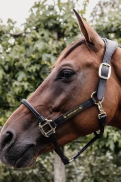 Kentucky Horsewear Kentucky Horsewear|Grimmor & Grimskaft-Anatomisk Lädergrimma Svart