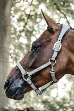 Kentucky Horsewear Kentucky Horsewear|Grimmor & Grimskaft-Anatomisk Mockagrimma Grå