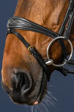 Dyon Dyón-Anatomisk Nosgrimma Collection Svart