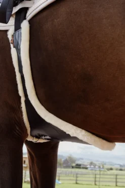 Kentucky Horsewear Sadelgjordar & Tillbehör|Kentucky Horsewear-Anatomisk Stud Magplatta Fårskinn Svart