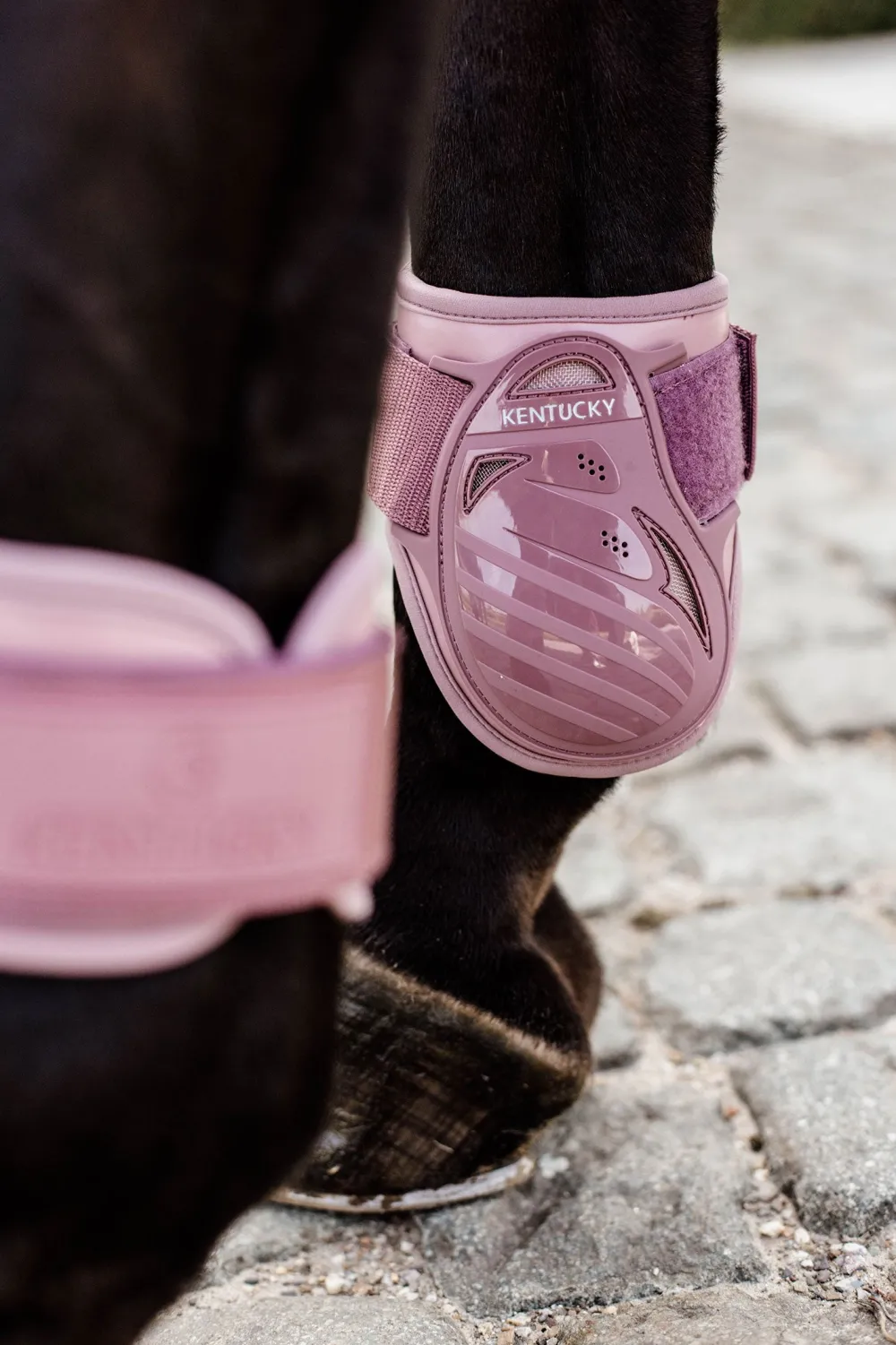 Kentucky Horsewear Kentucky Horsewear|Benskydd & Benlindor-Bakkydd Unghät Old Roe