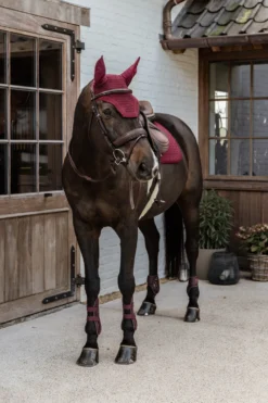 Kentucky Horsewear Kentucky Horsewear|Benskydd & Benlindor-Baboo enkydd Bordeaux
