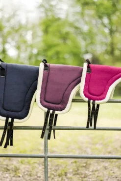 Waldhausen Schabrak & Huvor-Barbacka Pad