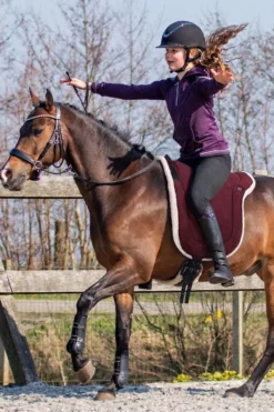 QHP Qhp|Sadlar & Sadelpaddar-Barbacka Padd Burgundy
