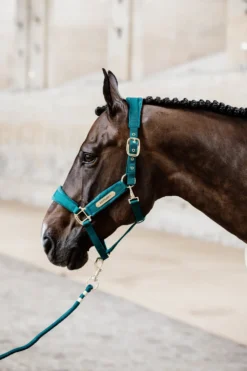 Kentucky Horsewear Kentucky Horsewear|Grimmor & Grimskaft-Basic Grimskaft Emerald