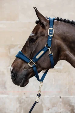 Kentucky Horsewear Kentucky Horsewear|Grimmor & Grimskaft-Basic Grimskaft Navy