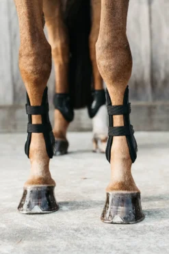 Kentucky Horsewear Kentucky Horsewear|Benskydd & Benlindor-Benskydd Bamboo Set Svart
