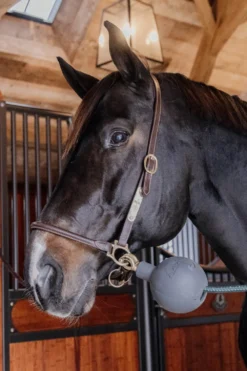 Kentucky Horsewear Kentucky Horsewear-Boll Uppbindningsskydd Grå