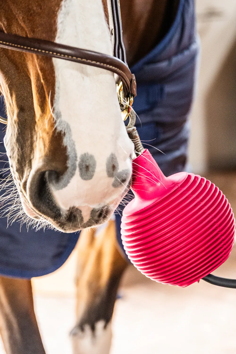 Grooming Deluxe Grooming Deluxe|Stallinredning & Upphängning-Boll Uppbindningsskydd Pro Rosa