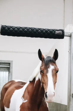 Kentucky Horsewear Kentucky Horsewear|Väskor & Boxgardiner-Boxskydd Svart