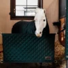Kentucky Horsewear Kentucky Horsewear|Väskor & Boxgardiner-Boxstopp Grön