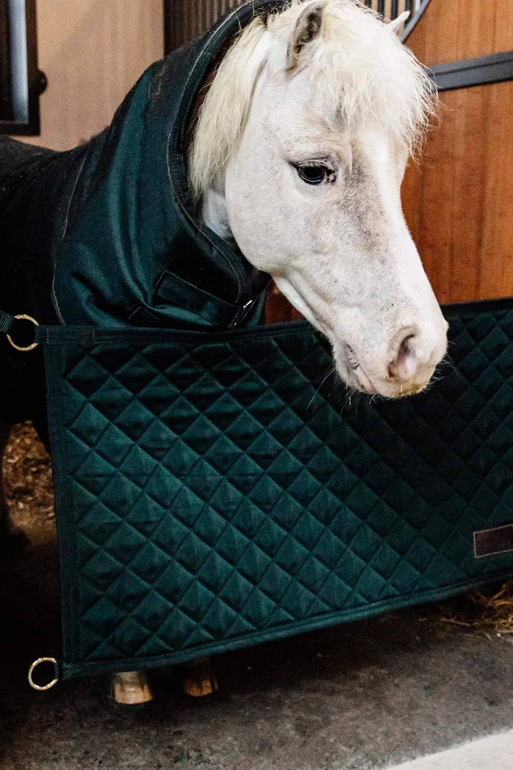 Kentucky Horsewear Kentucky Horsewear|Väskor & Boxgardiner-Boxstopp Grön
