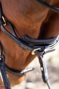 Utzon Equestrian Träns & Pannband|Utzon-Bristol Träns Svart/Mässing