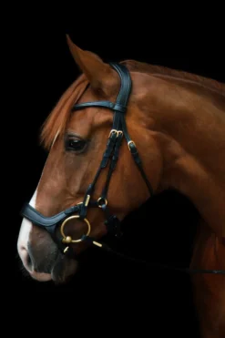Utzon Equestrian Träns & Pannband|Utzon-Bristol Träns Svart/Mässing