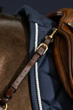 Dyón Dyón|Träns & Pannband-Brösta Dyon Collection Dyon Collection Brun
