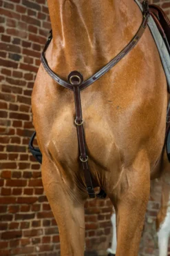 Dyón Dyón|Träns & Pannband-Brösta Dyon Collection Dyon Collection Brun