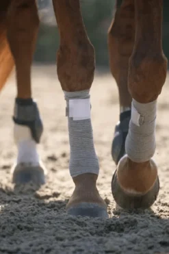 Incrediwear Incrediwear Equine|Benskydd & Benlindor-Cirkulation Benlindor Ponny Grå