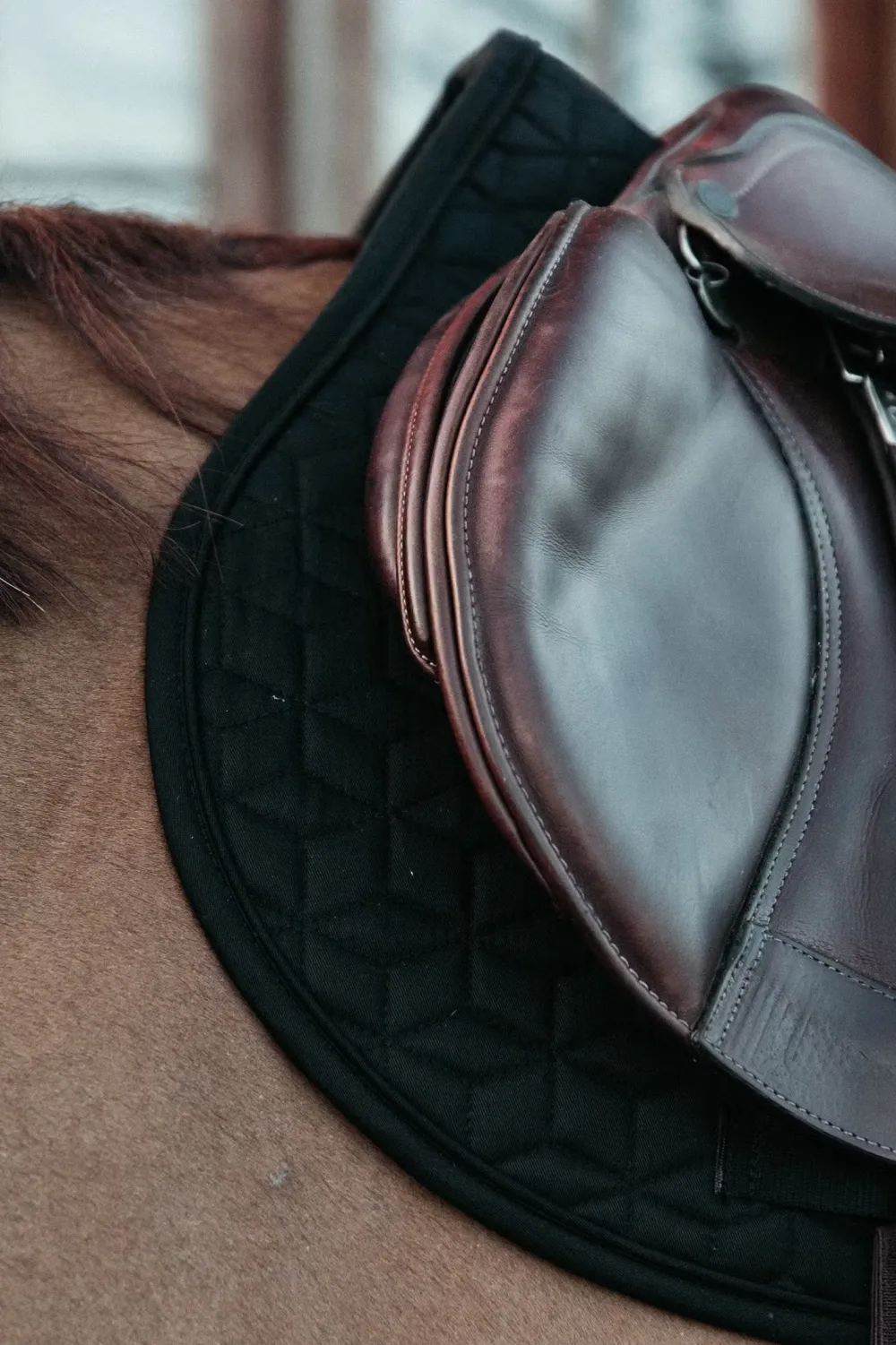 Kentucky Horsewear Kentucky Horsewear|Schabrak & Huvor-Classic Schabrak Svart