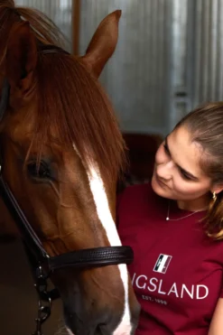 Kingsland Classic Kingsland|Tröjor & Toppar-Caic T-hirt Burgundy