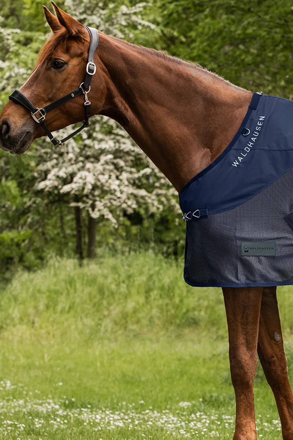 Waldhausen Flugskydd-COMFORT Regn/Flugtäcke Navy