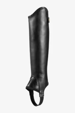 Ariat Ariat|Shortchaps-Concord Chap