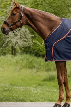 Waldhausen Flugskydd-Cooler Sommartäcke mot Flugor Navy/Orange