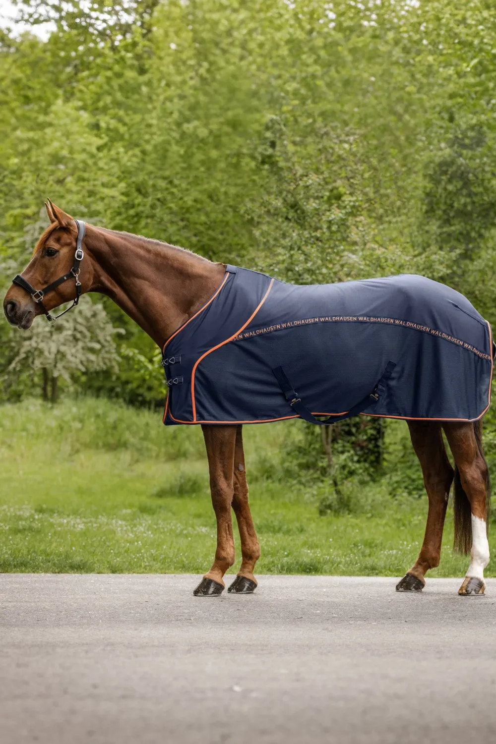 Waldhausen Flugskydd-Cooler Sommartäcke mot Flugor Navy/Orange