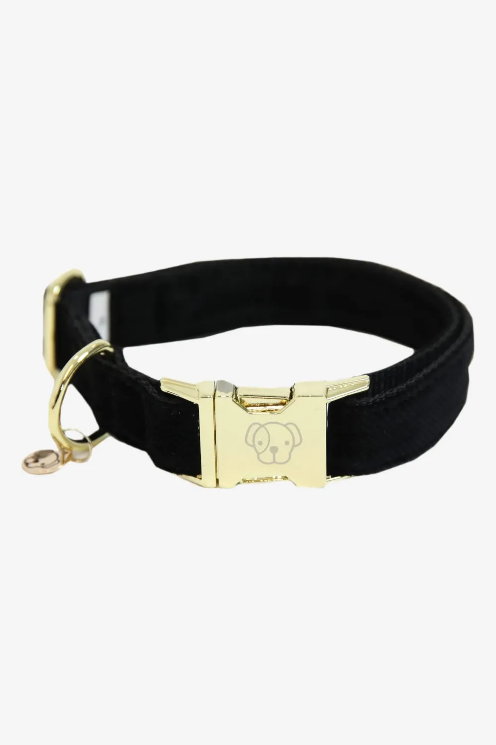 Kentucky Dogwear Kentucky Dogwear-Corduroy Hundhalsband
