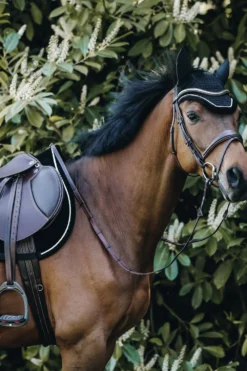 Kentucky Horsewear Schabrak & Huvor-Corduroy Schabrak