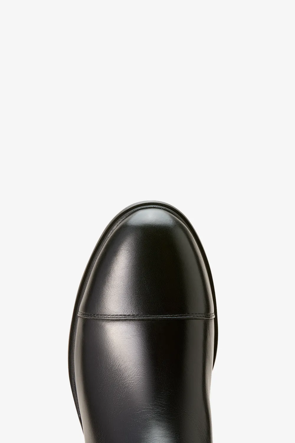 Ariat Ariat|Ariat-Devon Herr Ridstövlar S/M Svart