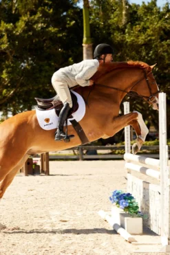 Ariat Ariat|Ariat-Devon Herr Ridstövlar S/M Svart