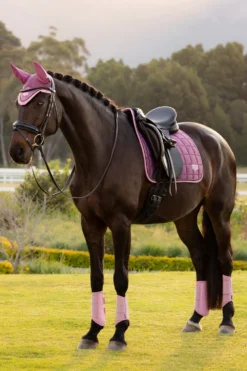 LeMieux Schabrak & Huvor|Lemieux-Dressyrschabrak oire Cassic Maow