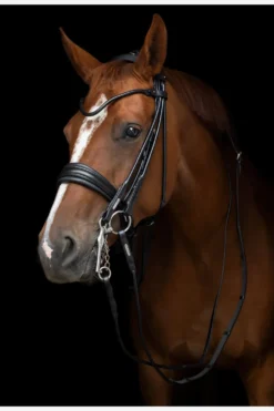 Utzon Equestrian Utzon-Edinburgh Kandar