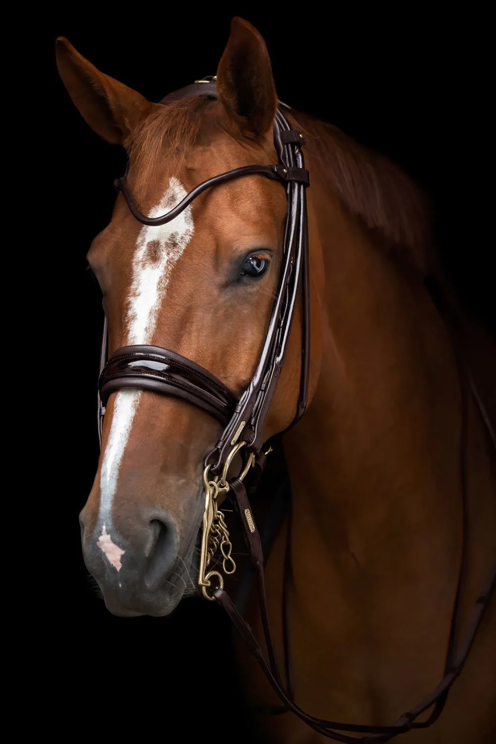 Utzon Equestrian Träns & Pannband|Utzon-Edinburgh Kandarträns