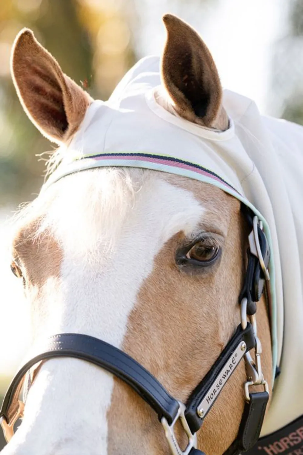 Horseware Hästtäcken & Flughuvor|Flugskydd-Eksemtäcke Amigo Ripstop Ponny Blue/Electric Blue