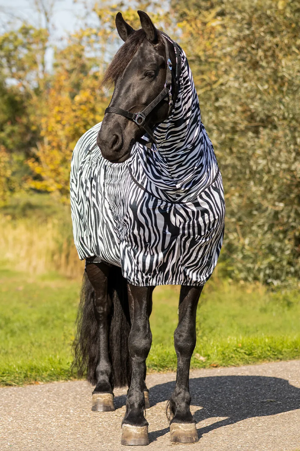 QHP Qhp|Hästtäcken & Flughuvor-Eksemtäcke Big Neck Zebra