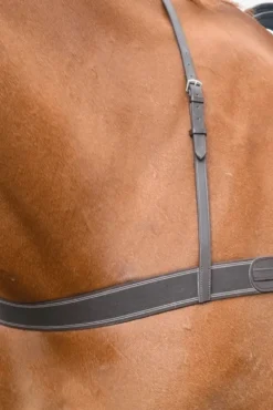 Shires Shires|Tyglar & Hjälptyglar-Elastiskförbygel Blenheim